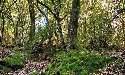 4112962434_cf1f8de765_b